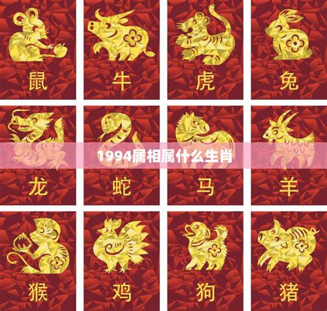 1994年屬什麼生肖|1994年属什么生肖 1994年出生的生肖是什么命